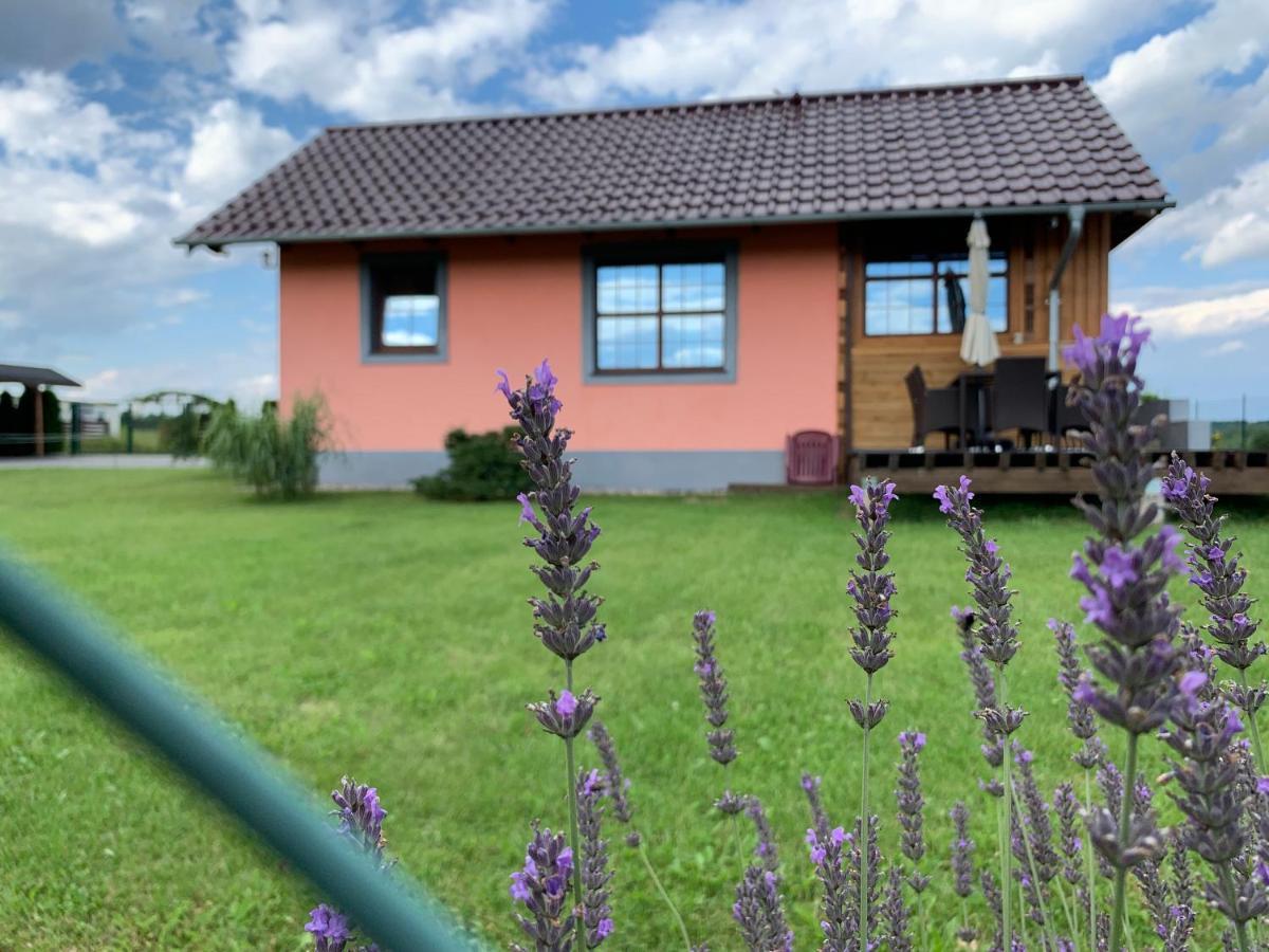 Willa Rozowy Domek Rakowice Male Exterior photo